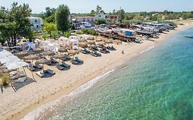 Hotel Elektra